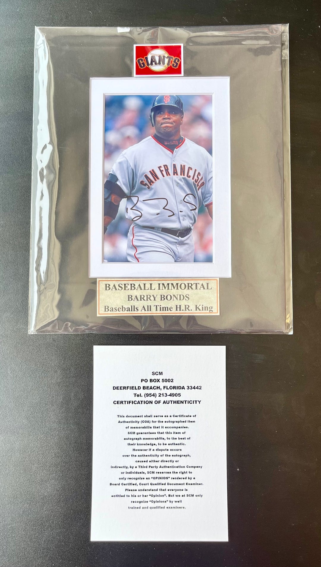Sports Memorabilia – Shopfanfactory